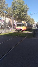 Linie 8.JPG