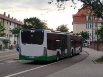 MSP-LY-452.jpg
