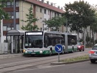 MSP-LY 455-1.jpg