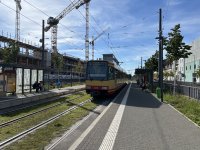 IMG_0543.jpeg