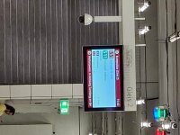 20260825_154352.jpg