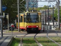 DSC05391s.jpg