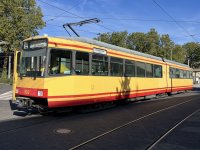 IMG_4482.jpeg