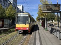 IMG_4483.jpeg