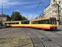 IMG_4488.jpeg